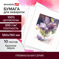 Бумага для акварели 300 г/м2 560x760 мм крупное зерно